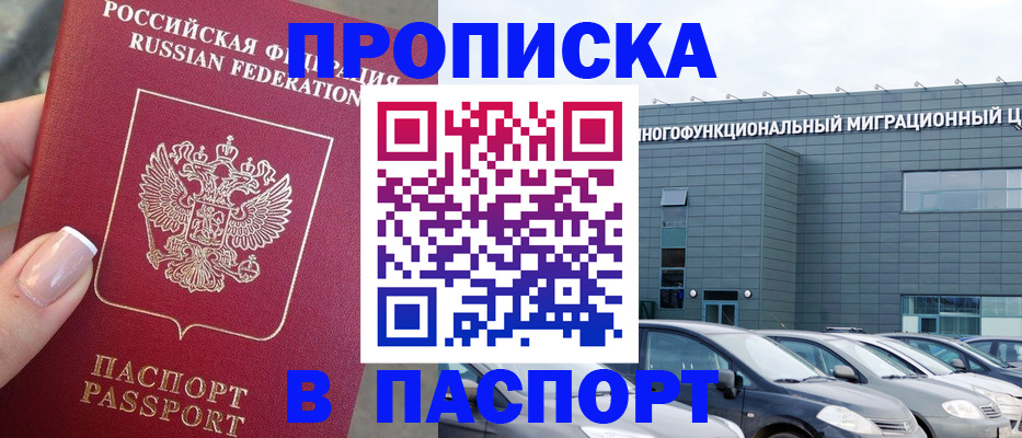 прописка для школы в Елизово